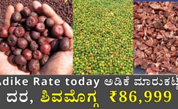 adike rate today karnataka