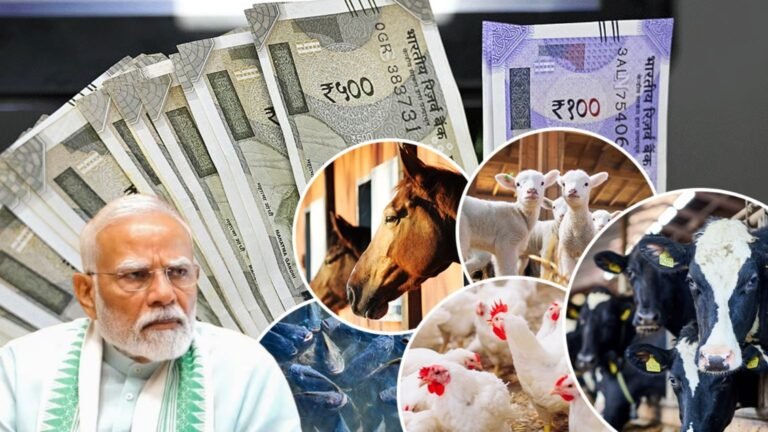 Farmer Loan