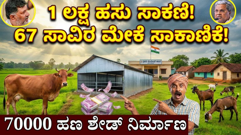 70000 ಹಣ ಕೊಟ್ಟಿಗೆ ಶೇಡ್ ನಿರ್ಮಾಣ